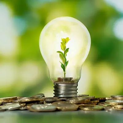 Image of a lightbulb with a plant growing in it